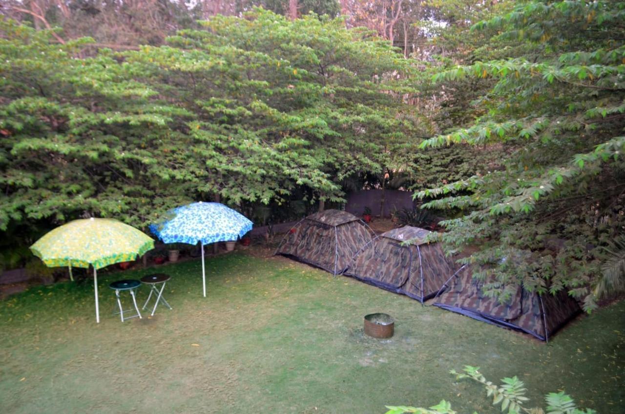 Dandeli Jungle Resort Ngoại thất bức ảnh