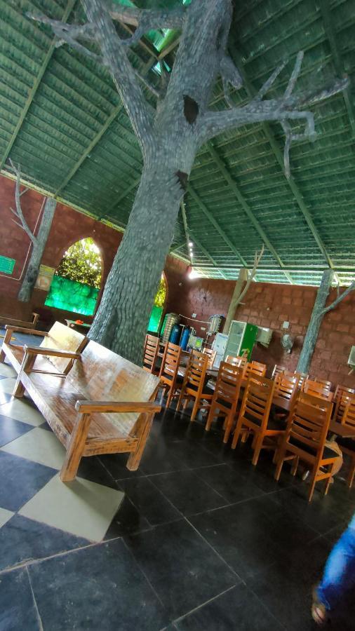 Dandeli Jungle Resort Ngoại thất bức ảnh