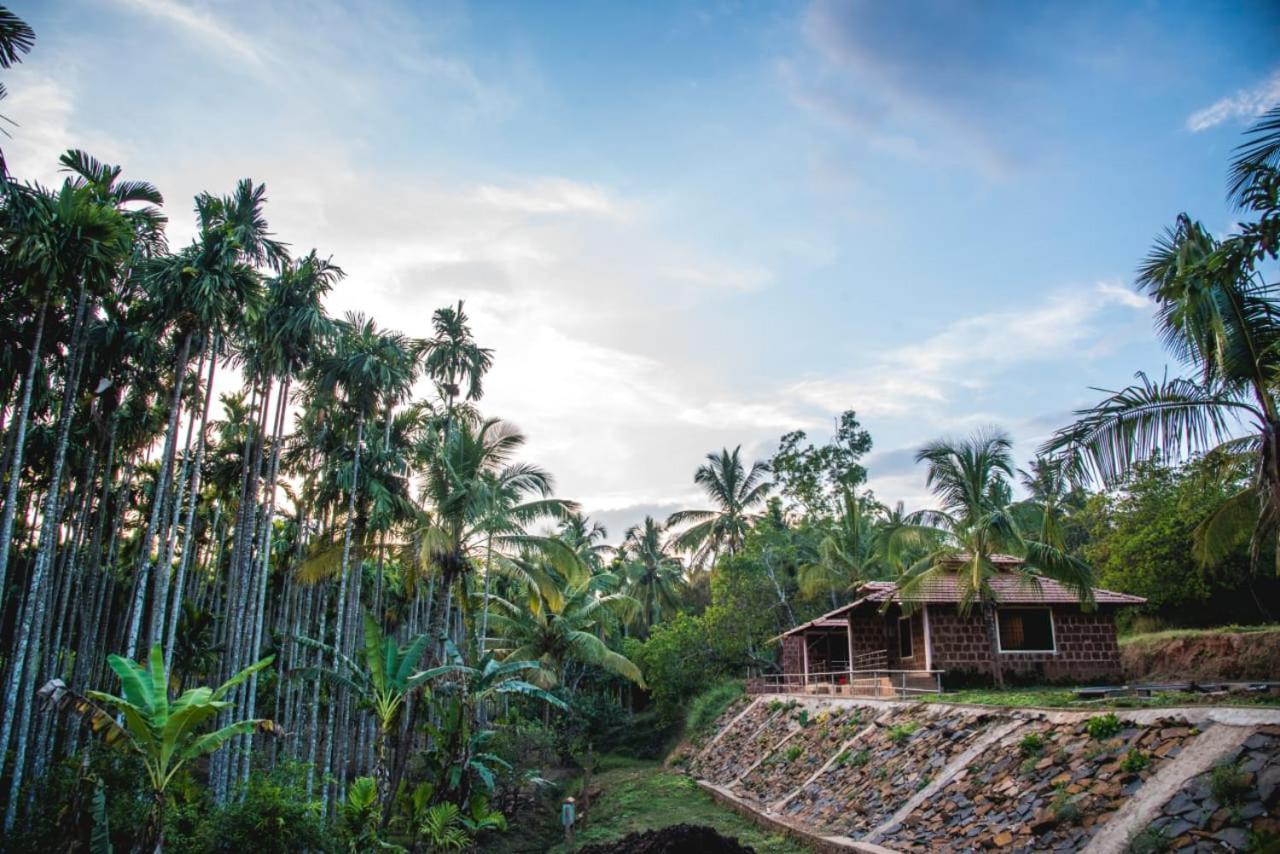 Dandeli Jungle Resort Ngoại thất bức ảnh