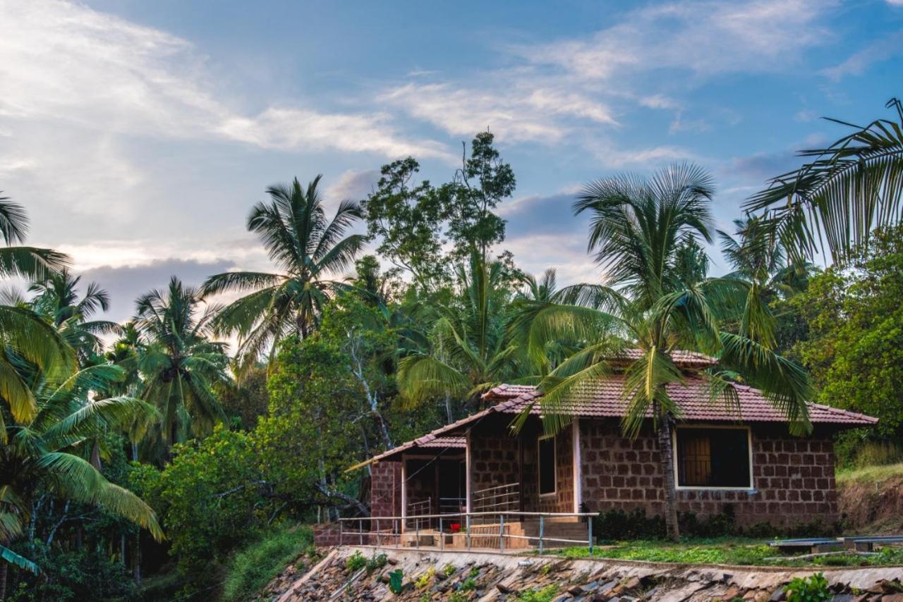 Dandeli Jungle Resort Ngoại thất bức ảnh